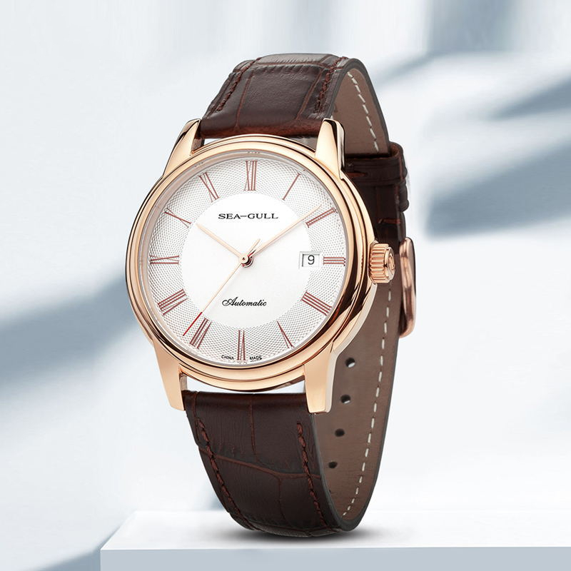 Seaghydr-montre mécanique pour - Omega Watch Constellation avis et prix